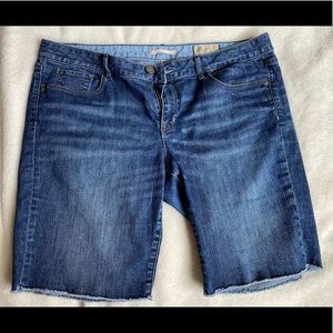 Gap Limiter Edition “Cutoff” Jean Shorts Size 16